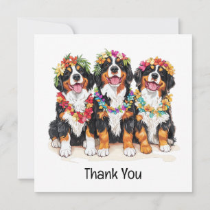 Thank You Hawaiian Bernese Mountain Dogs