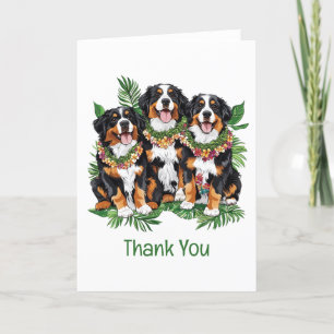 Thank You Hawaiian Bernese Mountain Dogs