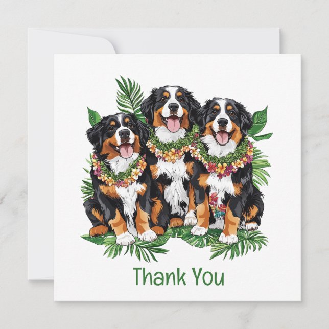 Thank You Hawaiian Bernese Mountain Dogs (Front)
