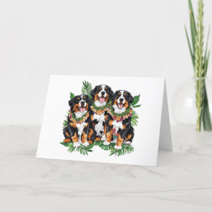 Thank You Hawaiian Bernese Mountain Dogs