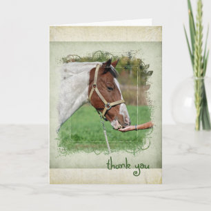 thank you horse eating alfalfa card