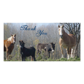 Thank You- Horses, Pony, and Donkey Photocards You Card
