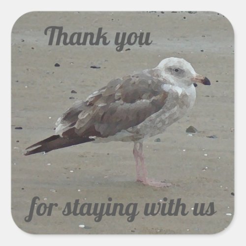 Thank You House Guest Artistic Seagull Beach Home Square Sticker
