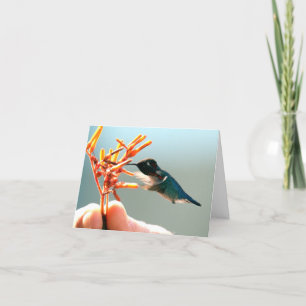 Thank-You Hummingbird Thank You Card