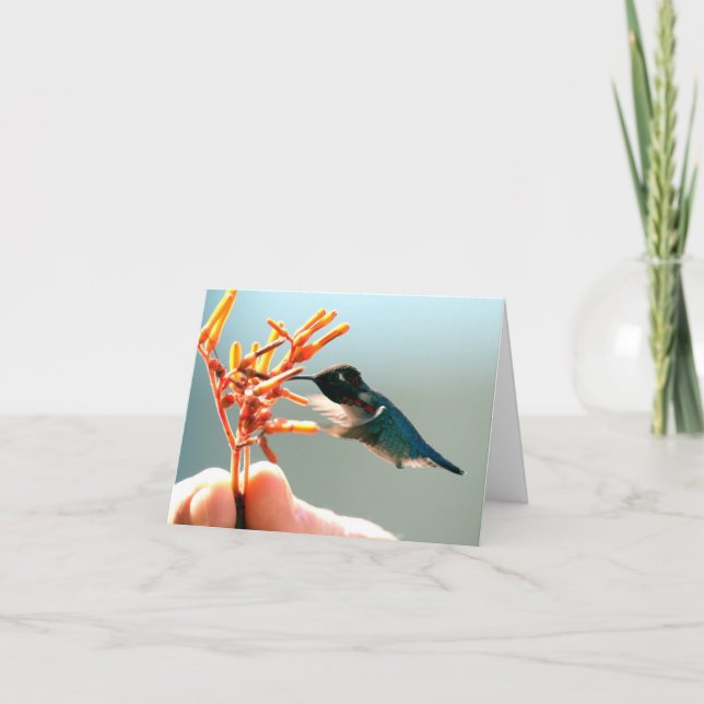 Thank-You Hummingbird Thank You Card (Front)