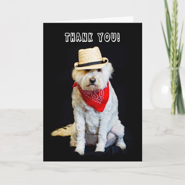 THANK YOU - HUMOR - DOG/COWBOY HAT AND SCARF (Front)