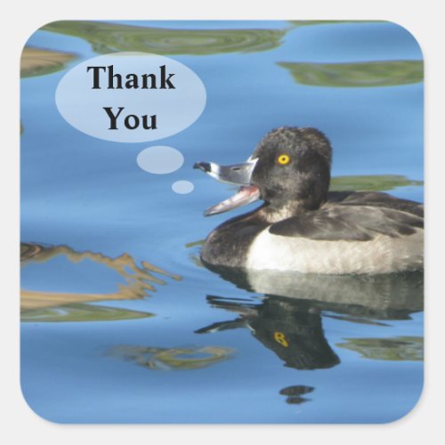 Thank You Humorous Duck Appreciation Square Sticker
