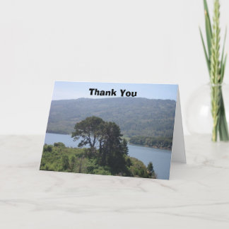 Thank You II