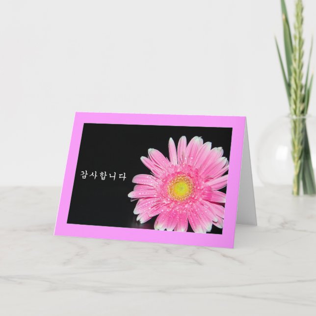 Thank you in Korean - pink daisy (Front)