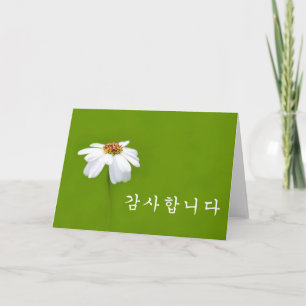 Thank you in Korean - white daisy Card