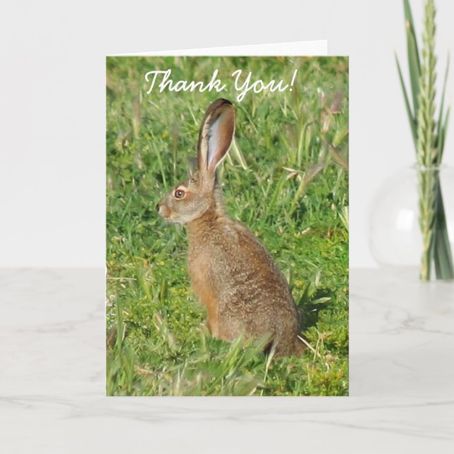 Thank You Jack Rabbit greeting card (Front)