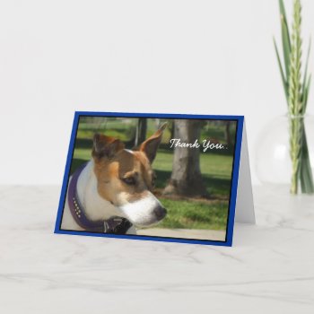 Thank You Jack Russell Terrier Greeting Card by ritmoboxer at Zazzle