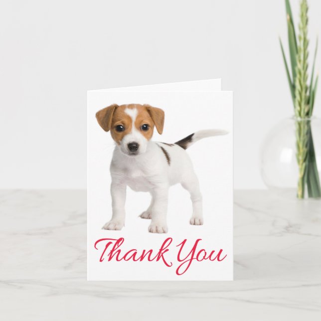 Thank You Jack Russell Terrier Puppy Dog Blank Card (Front)