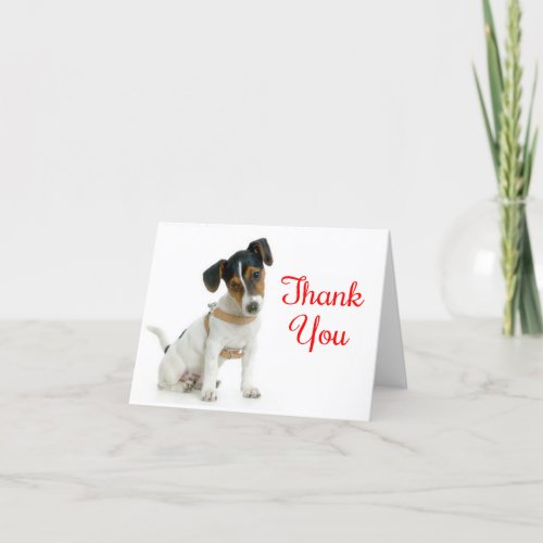 Thank You Jack Russell Terrier Puppy Dog Note Card