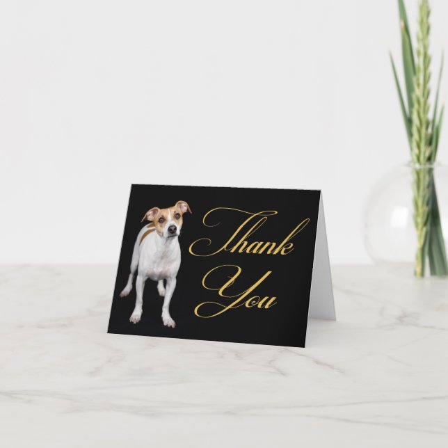 Thank You Jack Russell Terrier Puppy Dog Note Card (Front)