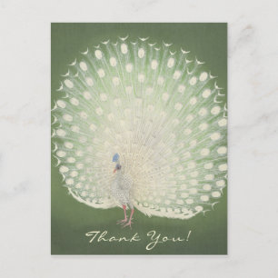 Thank You Japanese Fine Art Peacock Postcard