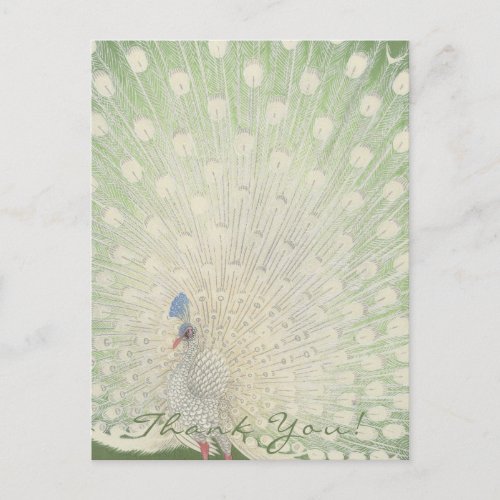 Thank You  Japanese Fine Art  Peacock Postcard