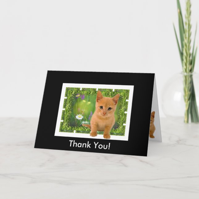 Thank you Kitten Card (Front)