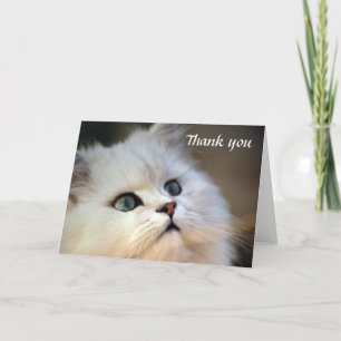 Thank you - Kitten Card