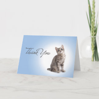 Thank You Kitten on Blue Card