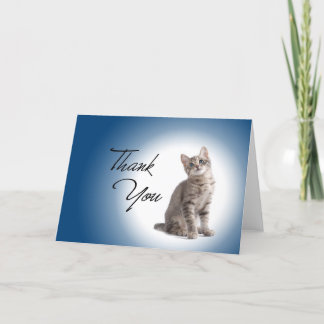 Thank You Kitten on Dark Blue Card