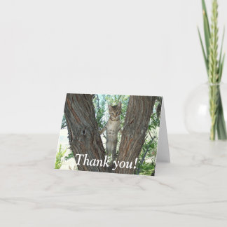Thank you kitty cat note card