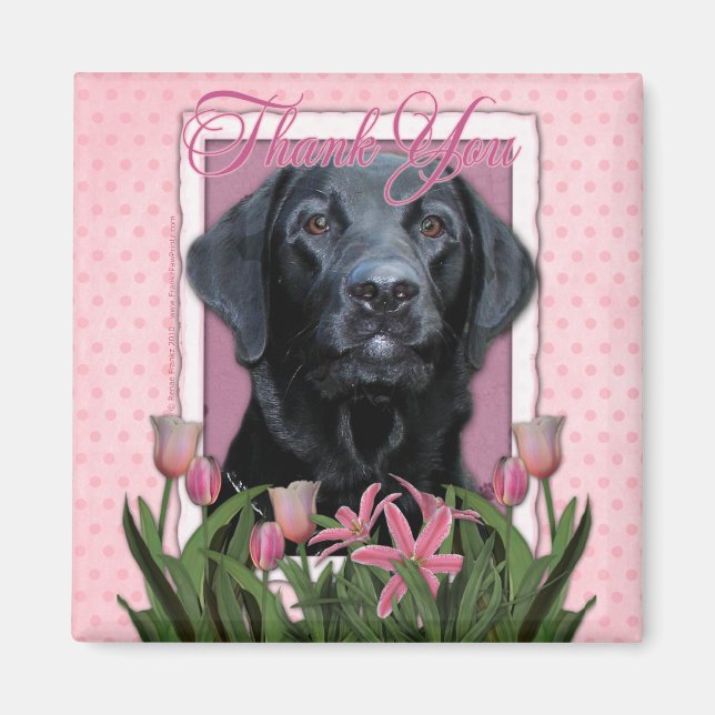 Thank You - Labrador - Black - Gage Magnet (Front)
