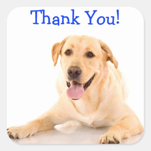 Thank You Labrador Retriever Dog Sticker Labels