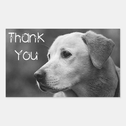 Thank You  Labrador Retriever Puppy Dog Sticker