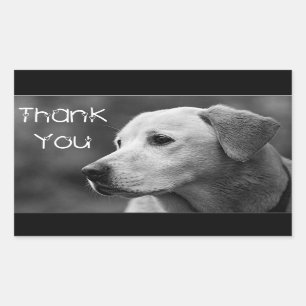 Thank You Labrador Retriever Puppy Dog Sticker