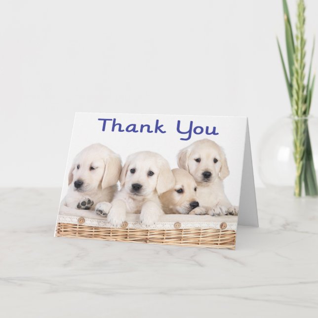 Thank You Labrador Retriever Puppy Dogs Card (Front)