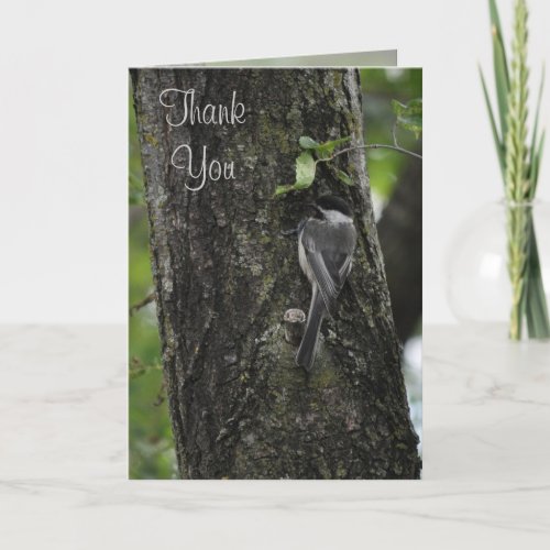 Thank You Little Birdie Cards by Janz