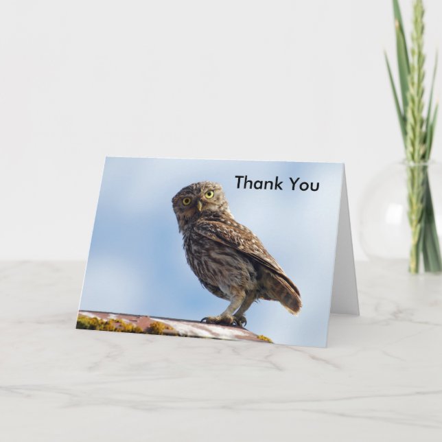 Thank You Little Owl (Front)