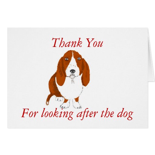 Thank you -looking after dog. card | Zazzle