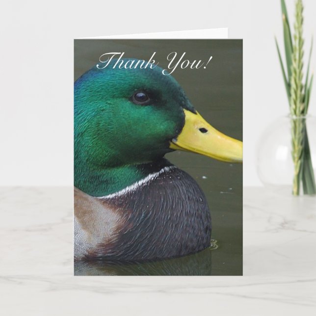 Thank you Mallard Duck Greeting Card (Front)