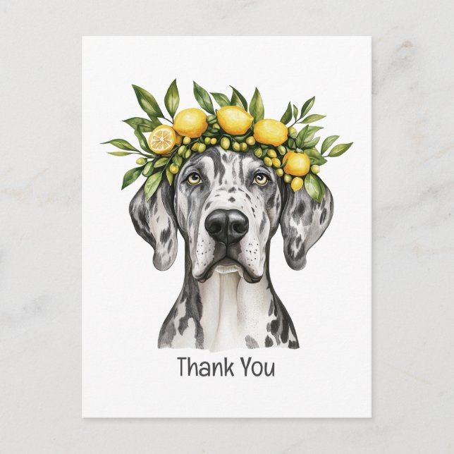 Thank You Merle Great Dane Dog Lemon Crown Postcard (Front)