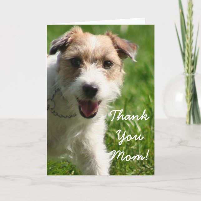 Thank You Mom Jack Russell  Terrier Greeting Card (Front)