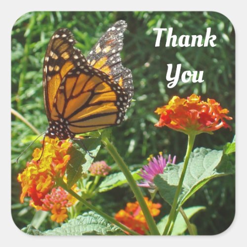 Thank You  Monarch Butterfly Photo Appreciation Square Sticker