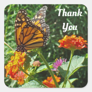Thank You  Monarch Butterfly Photo Appreciation Square Sticker