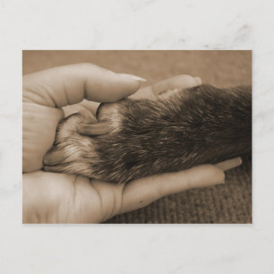 Thank you, my friend. postcard