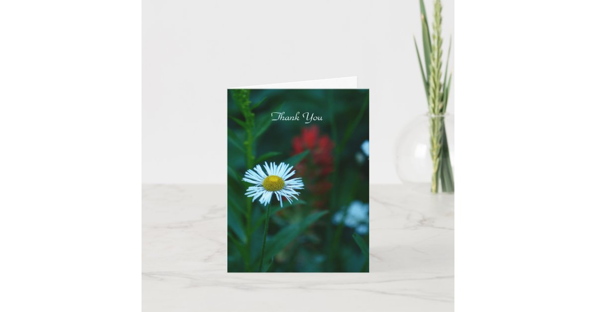 Thank You Note Card, White Daisy, Blank Inside Card | Zazzle