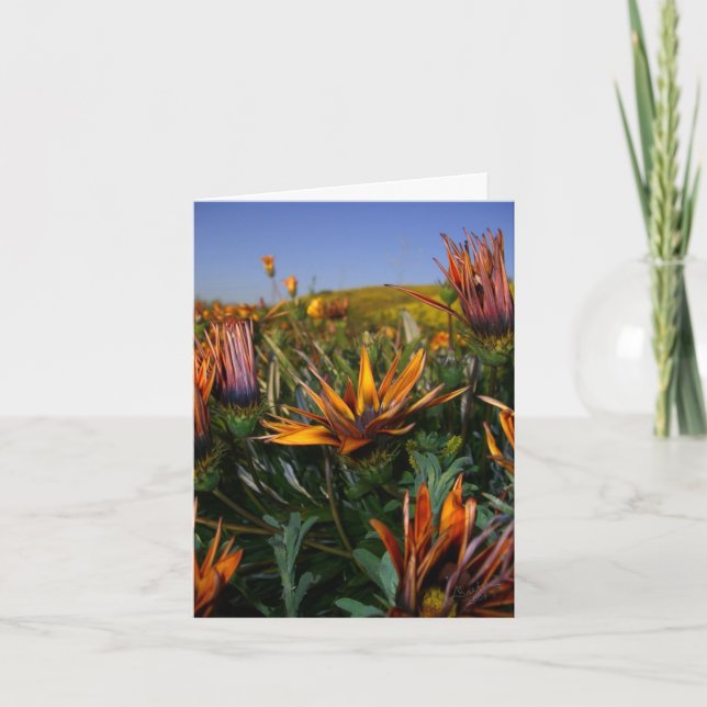 Thank you note: Field of Flowers Card (Front)