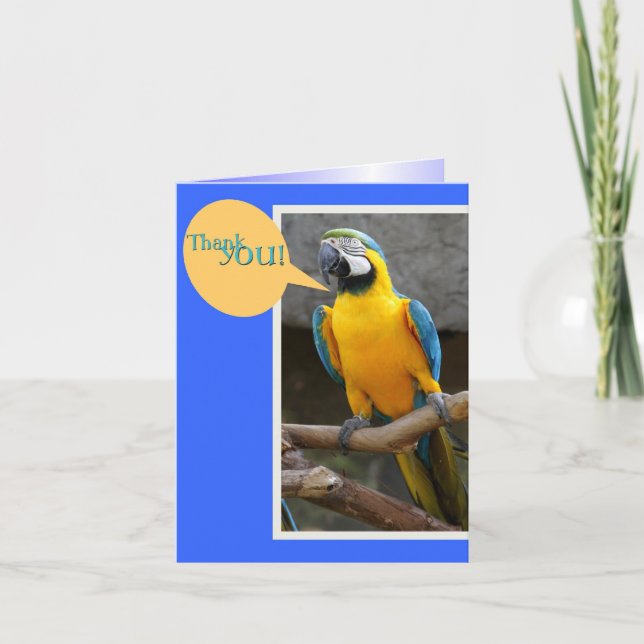 Thank You Note from Parrot Card (Front)