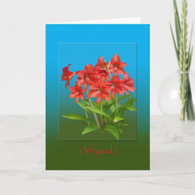 Thank You, Obrigado, Portuguese You Card (Front)