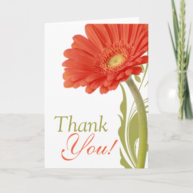 Thank You | Orange Gerbera Daisy (Front)