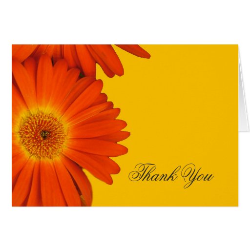 thank you orange gerbera daisy flowers card | Zazzle