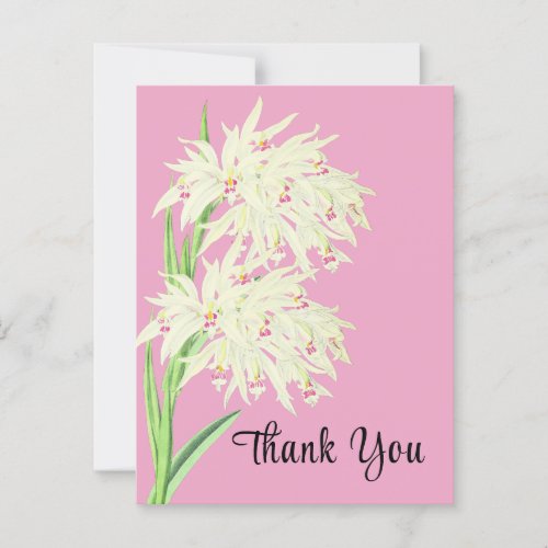 Thank You Orchid Floral  Postcard