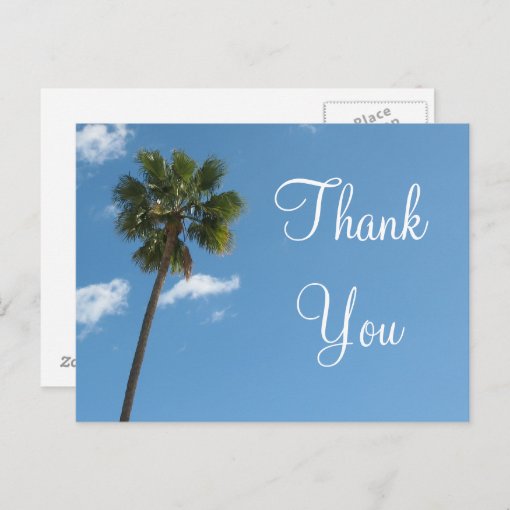 Thank You Palm Tree Postcard 