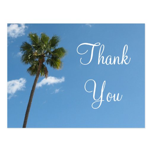 Thank You palm tree Postcard | Zazzle