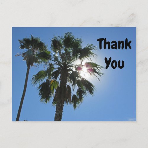 Thank You Palm Tree Tropical Sunburst Appreciation Postcard
